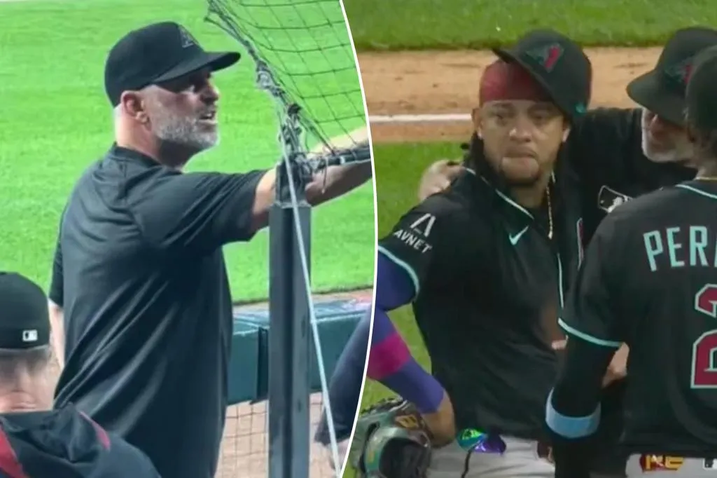 Video Baru Tampilkan Manajer Diamondbacks Konfrontasi Pengganggu Ketel Marte